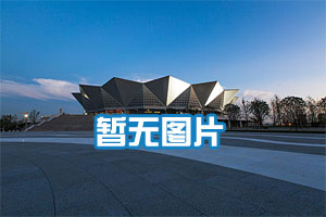 大华城市表演艺术中心-歌剧院座位图